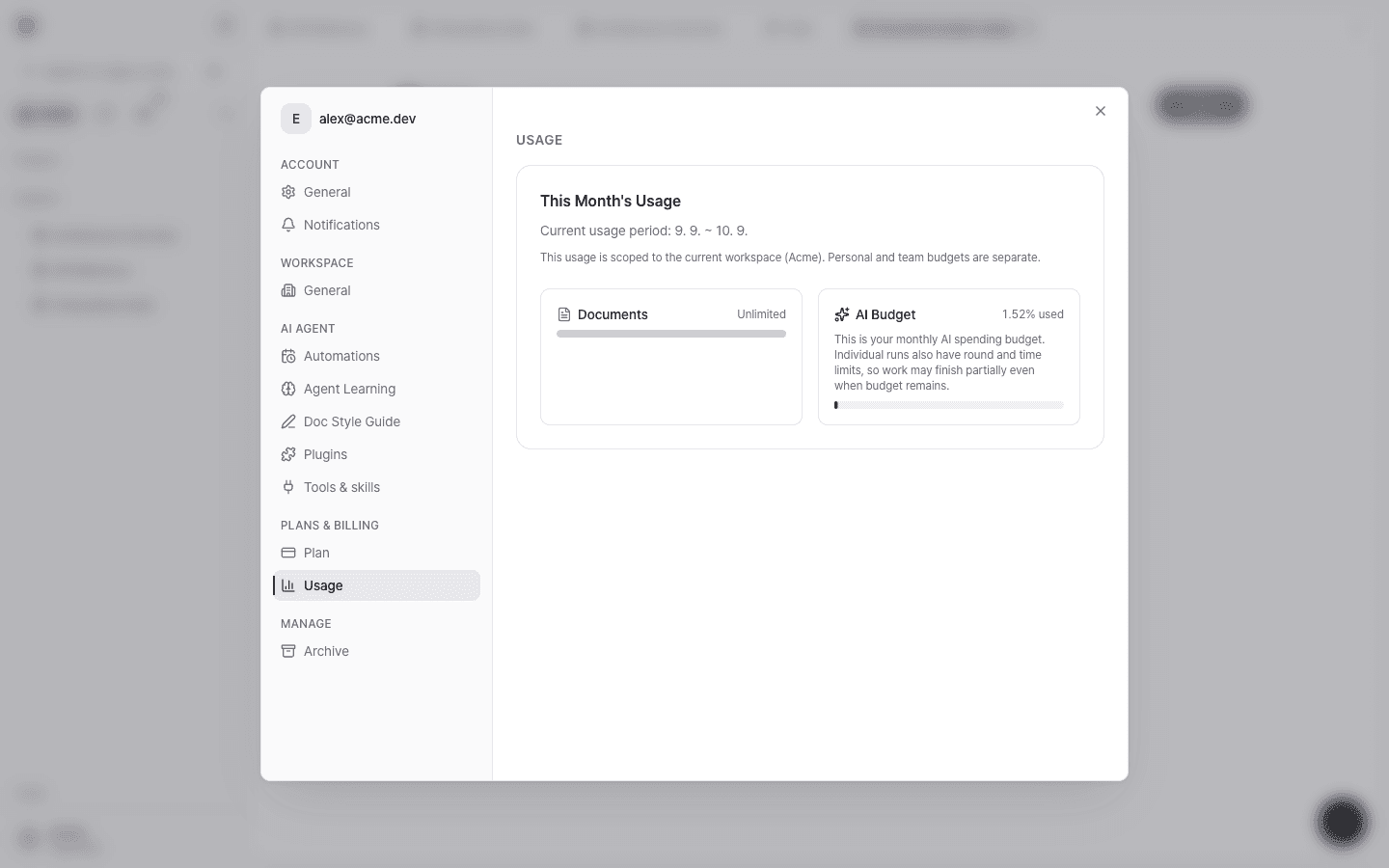 The Usage page showing this month's usage period, unlimited documents, and an AI Budget usage bar